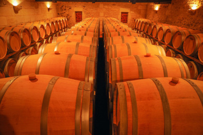 Vineyard