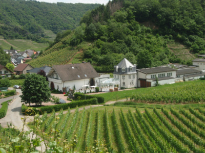 weingut