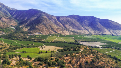 Viña San Pedro S.A. Molina