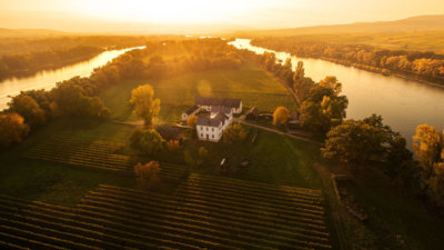 Weingut