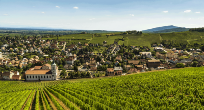 Winery