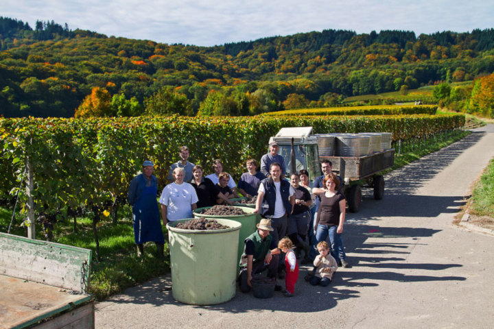 Badischer Federweisser 2019 - Jetzt Vorbestellen.
