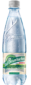 Bad Brambacher Mineralwasser Naturell