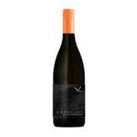 Arte Vini ORANGE Reserve