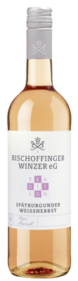Bischoffinger Winzer Tradition Spätburgunder Weißherbst
