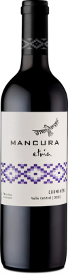 Mancura etnia Carmenère